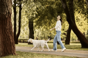 Una mujer pasea a su perro con correa en un parque, sin saber qué hacer después de la mordedura de un perro.